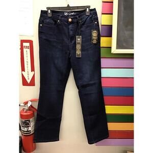 Diane Gilman dg2 stretch straight jeans size 10 new from HSN dark wash